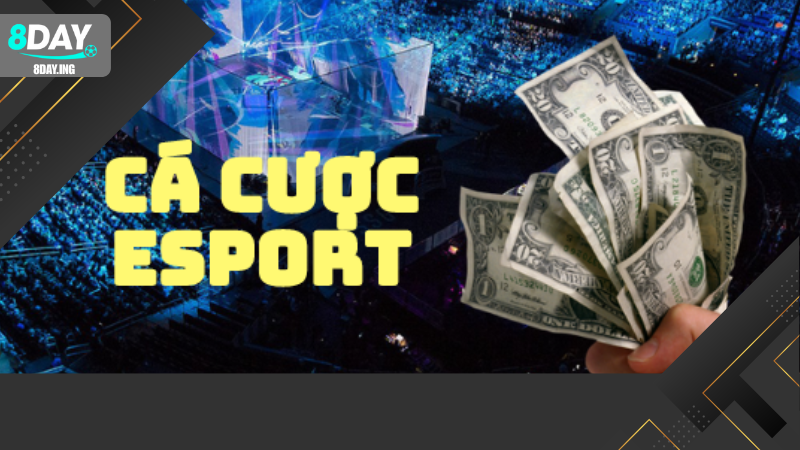 Esports: Xu hướng thể thao điện tử toàn cầu bạn không thể bỏ lỡ 2 Các tựa game Esports nổi bật và phổ biến hiện nay